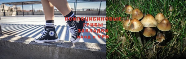прущий лед Алексин